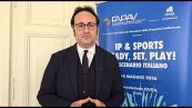 Fapav: tutelare diritti d'autore industria contenuti sportivi