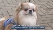 Cani e gatti sepolti coi loro padroni