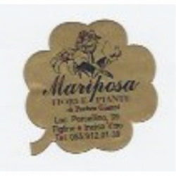 Mariposa Fiori e Piante logo