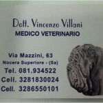 Centro Medico Veterinario Villani Dr. Vincenzo