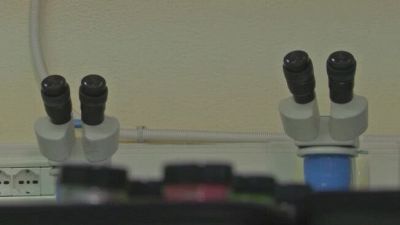 Il dna di un "ignoto" riscrive il giallo di Garlasco