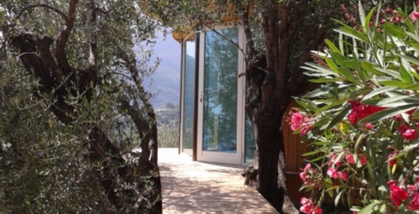 Resize automatico da 14469164