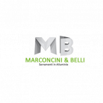 Marconcini & Belli Srl