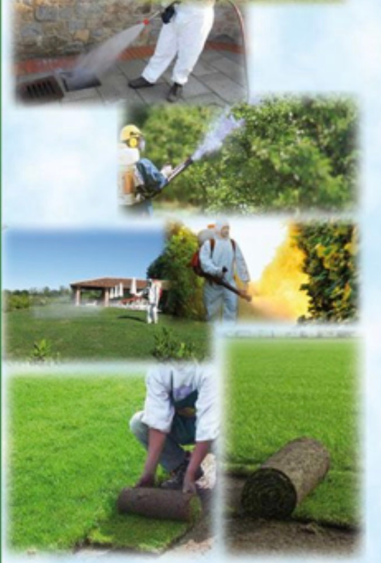 Manutenzione del verde