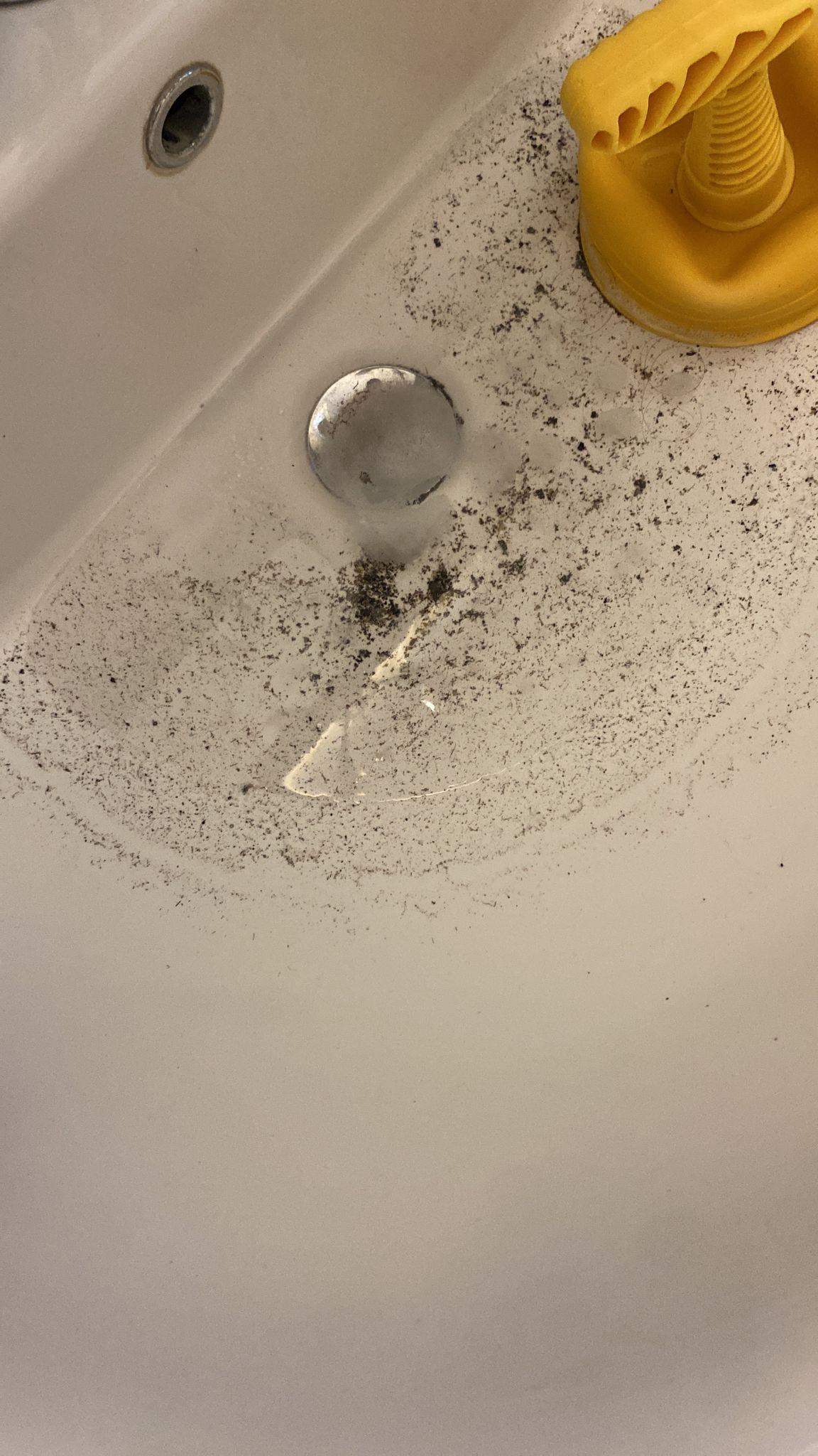 Risalita fognaria sifoni che gorgogliano acqua  stagnante