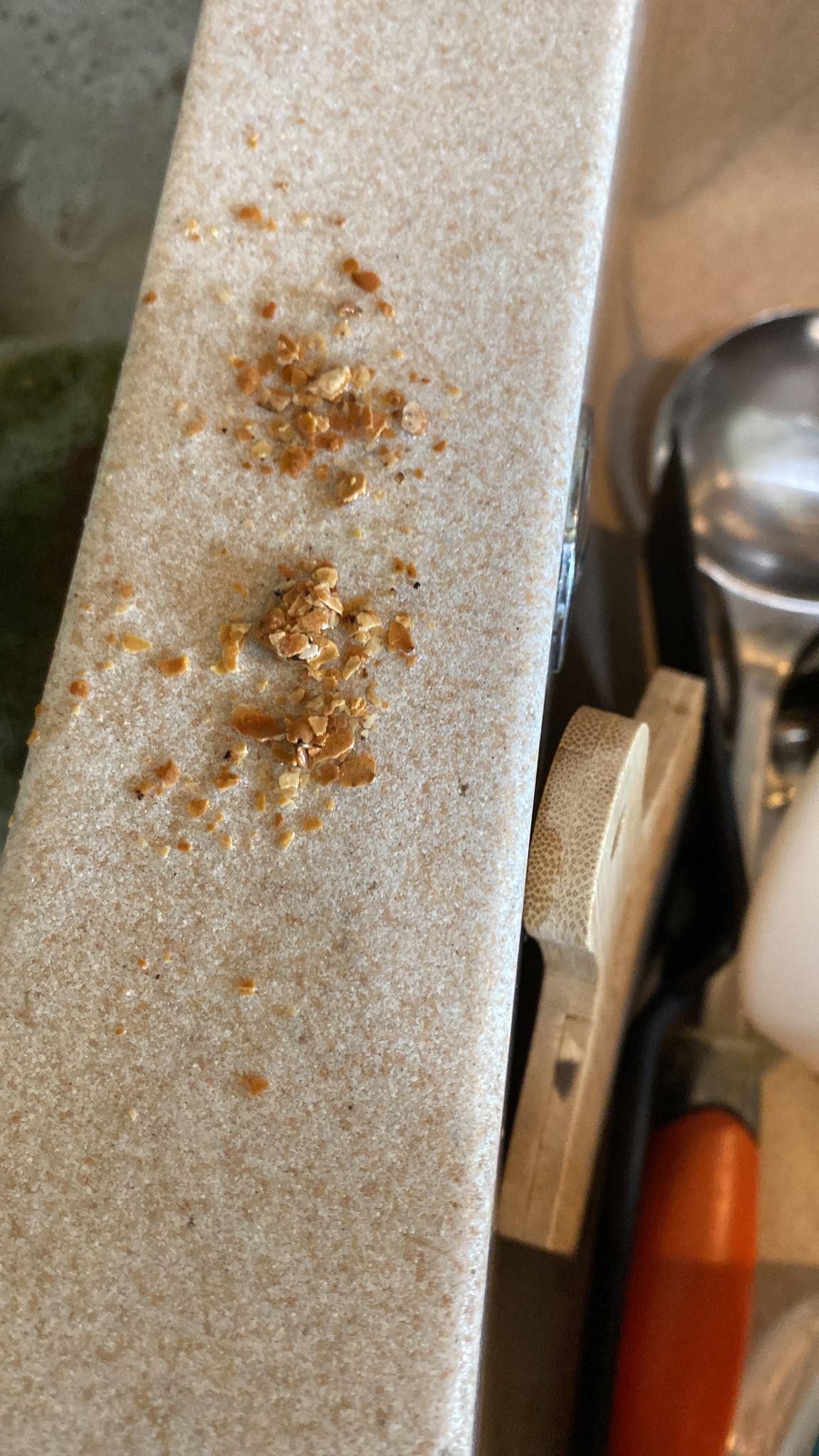 Risalita fognaria sifoni che gorgogliano acqua  stagnante