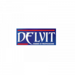 Delvit