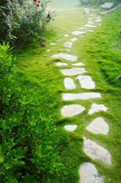 PRATI VERDI FOTO PGOL