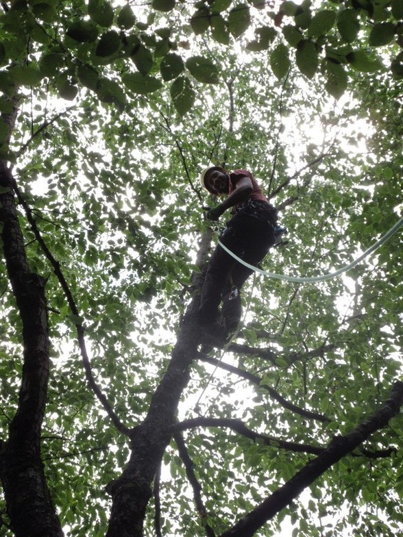 LUPI BERNARDO FOTO HP PGOL