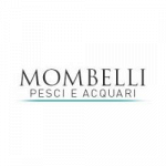 Acquari Mombelli
