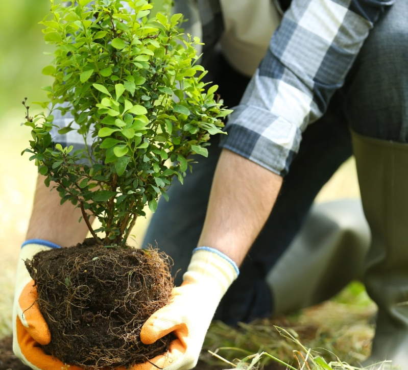 spazi verdi - Siviero Davide e C.