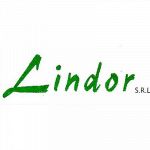 Lindor - Impresa di Pulizie dal 1973