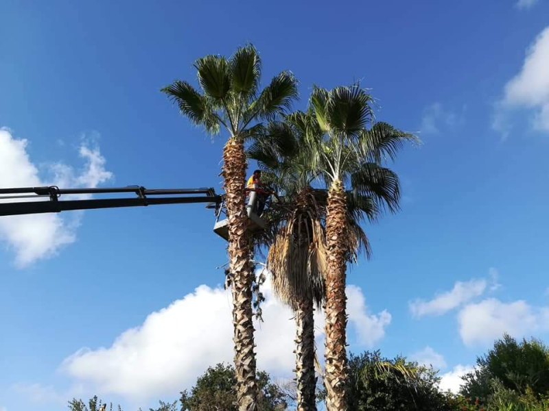 noleggio gru catania