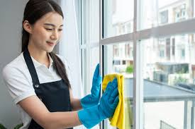 La Fenice impresa di pulizie La Fenice impresa di pulizie