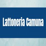 Lattoneria Camuna