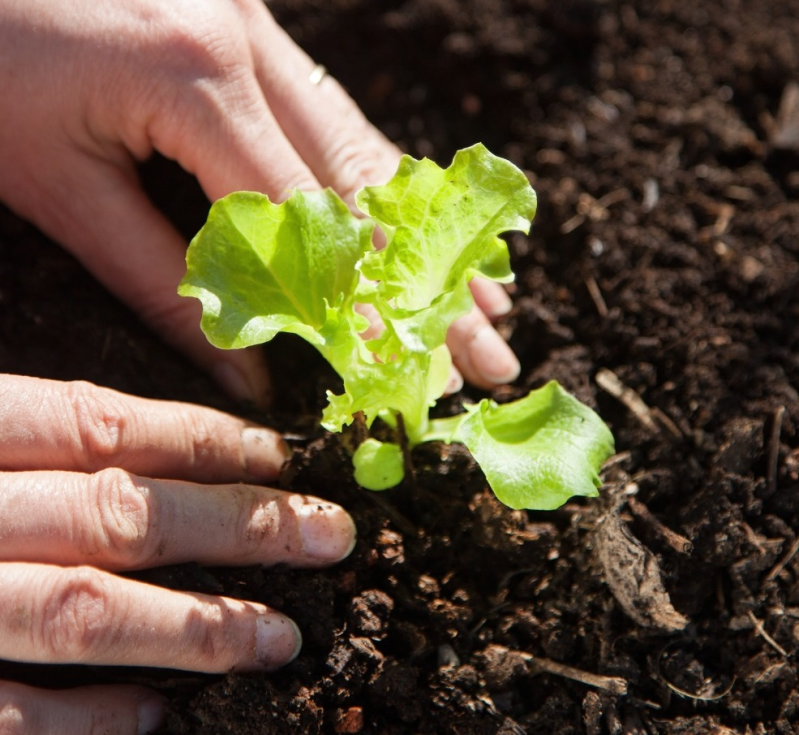spazi verdi - Siviero Davide e C.