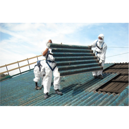 Resize automatico da 13979015