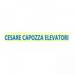 Cesare Capozza Elevatori