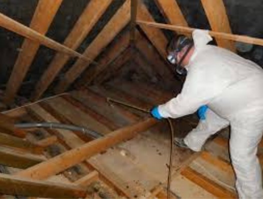 TRATTAMENTI ANTITARLO