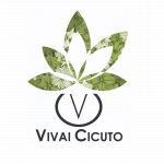 Vendita Piante e Fiori, Realizzazione e Manutenzione Giardini Vendita Piante e Fiori, Realizzazione e Manutenzione Giardini