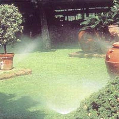 Resize automatico da 12505970