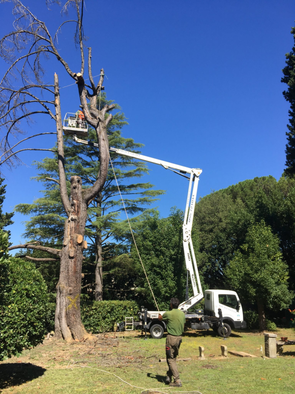 PRATI VERDI FOTO PGOL