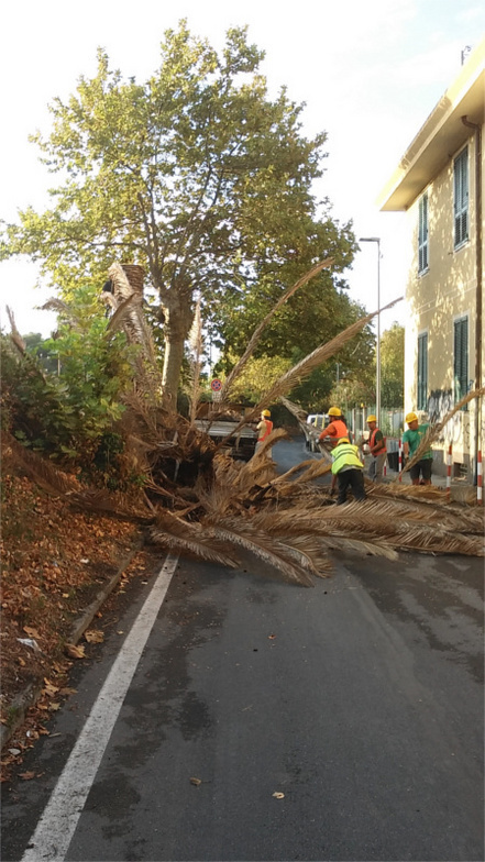 IL GIARDINO FOTO PGOL