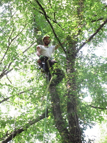 LUPI BERNARDO FOTO HP PGOL