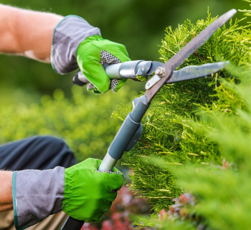 spazi verdi - Siviero Davide e C.