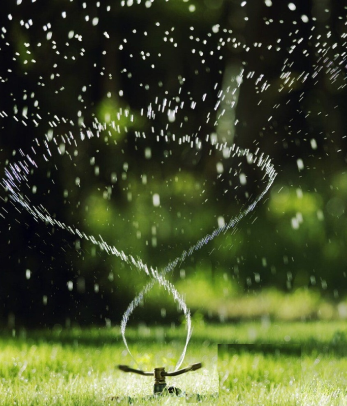 spazi verdi - Siviero Davide e C.