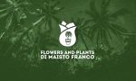 Flowers and Plants di Maisto Franco