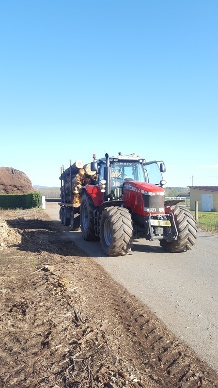 MASSAROTTO LUIGI foto pgol