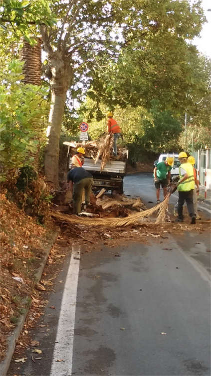 IL GIARDINO FOTO PGOL