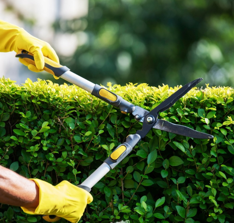 spazi verdi - Siviero Davide e C.