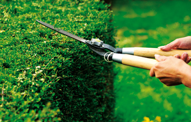 GIORGI GIORGIO FOTO HP PGOL 400