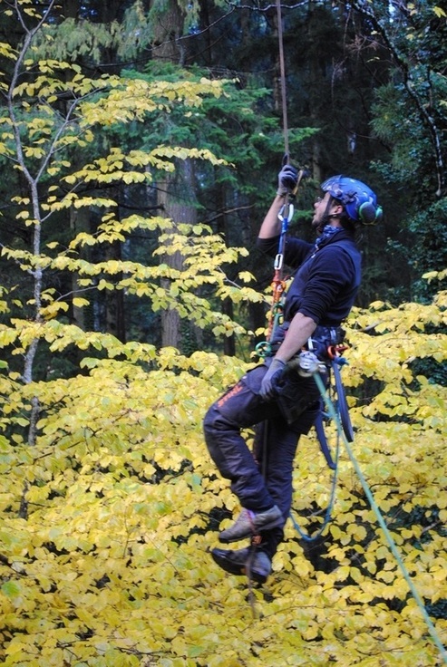 LUPI BERNARDO FOTO HP PGOL