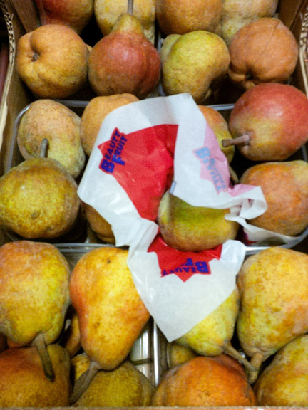 Tabarelli Vivai  foto web 1