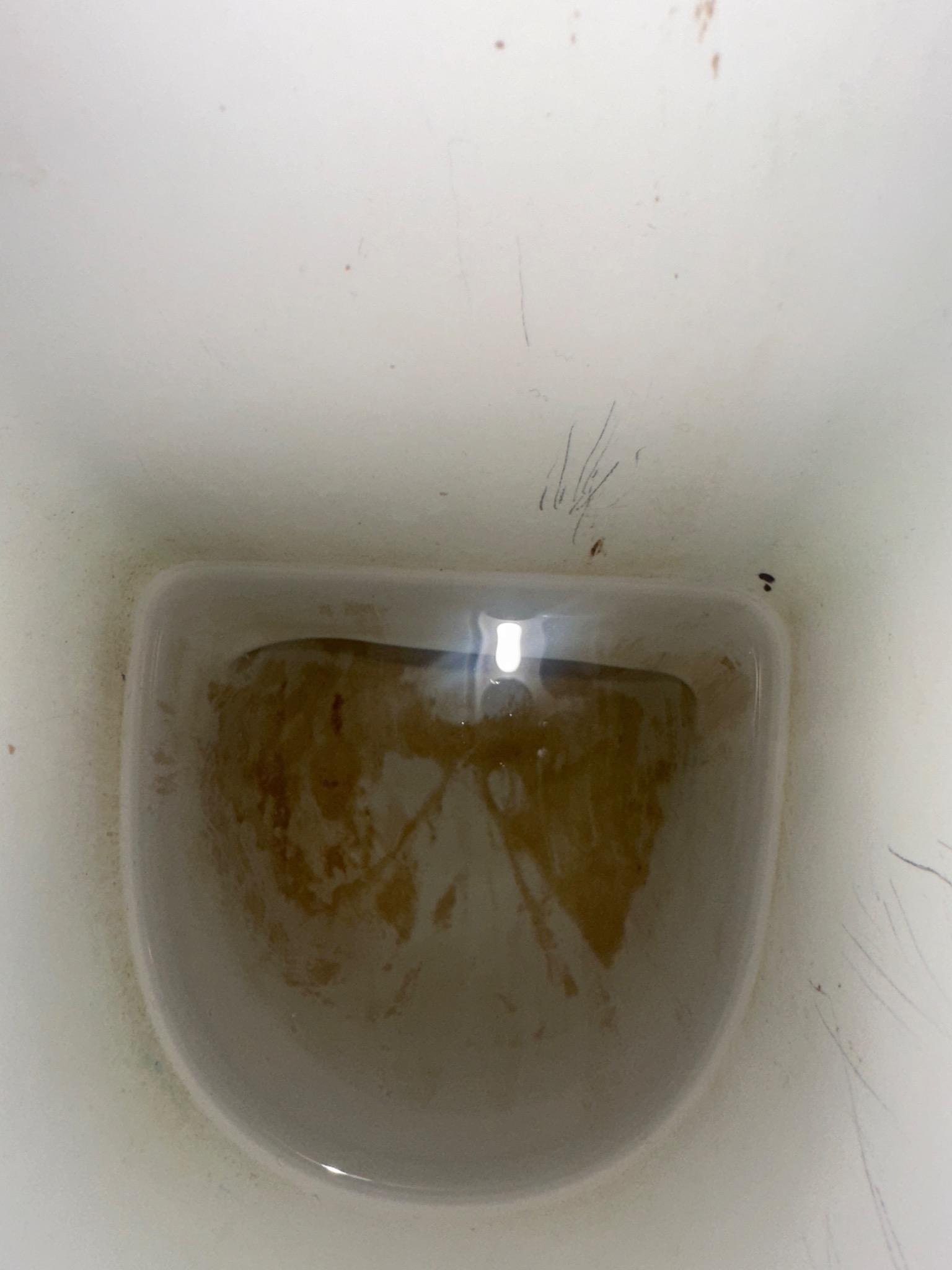 Risalita fognaria sifoni che gorgogliano acqua  stagnante