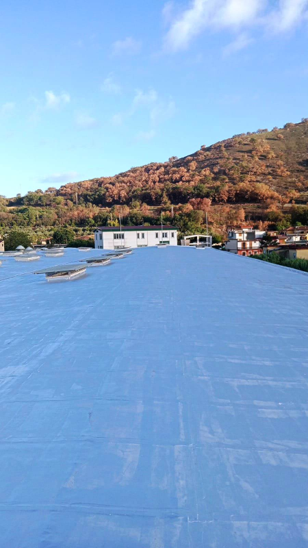 EDIL ASFALTI SRL MANUTENZIONE COPERTURE IMPERMEABILI