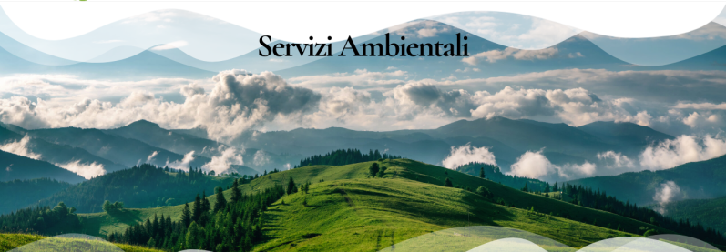 NOVIECO SRL SERVIZI AMBIENTALI
