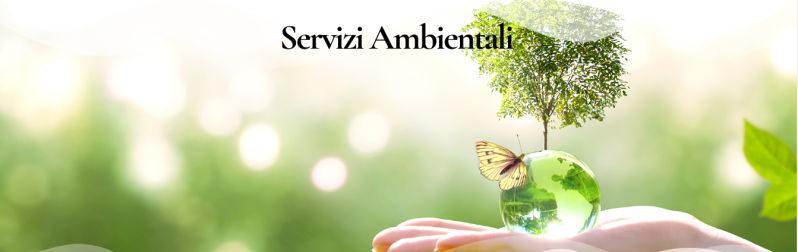 NOVIECO SRL SERVIZI AMBIENTALI