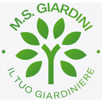 Ms Giardini