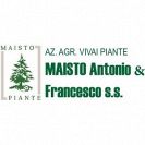 Vivai Maisto Antonio e Francesco