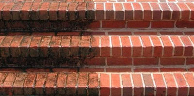 COOPLAR FOTO HP PGOL