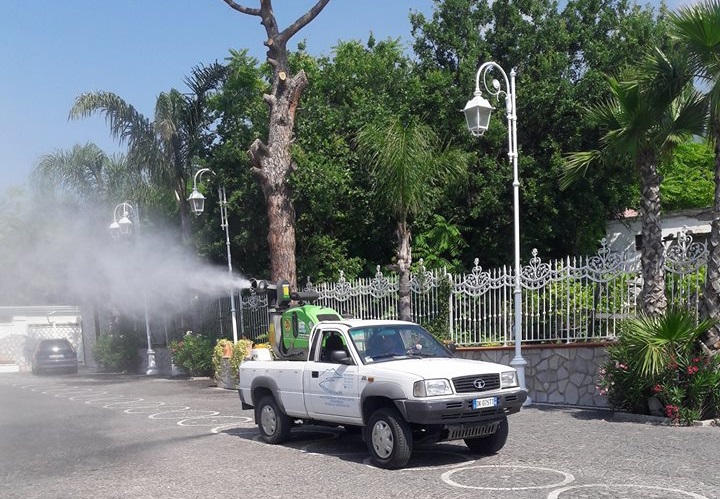 DERPARTENOPE DISINFESTAZIONI E DERATTIZZAZIONI foto web 7