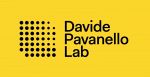Davide Pavanello Lab