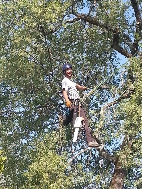 LUPI BERNARDO FOTO HP PGOL