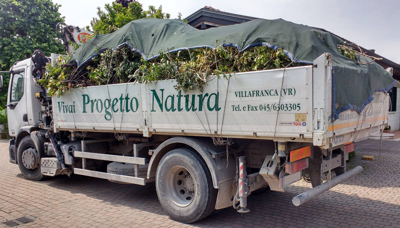 VIVAI PROGETTO NATURA foto web 1