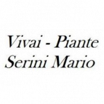 Mario Serini Vivaio
