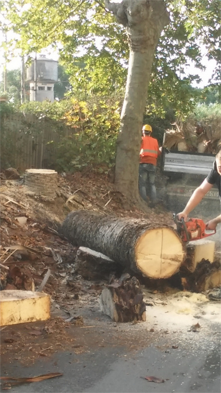 IL GIARDINO FOTO PGOL